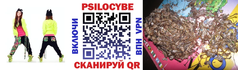 blacksprut сайт  Людиново  Галлюциногенные грибы Psilocybe  как найти закладки 